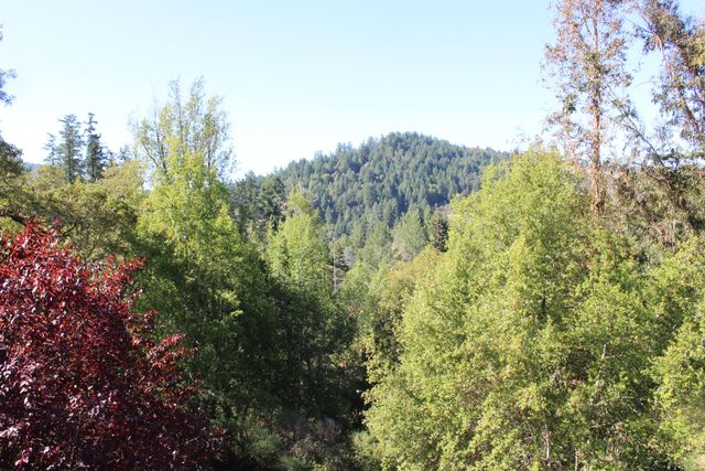 80 Jump Up Court, Benbow, CA 95542