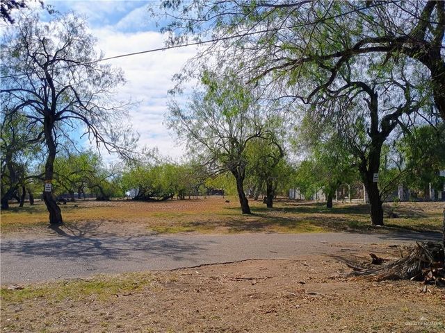 972 S Kika De La Garza Boulevard, La Joya, TX 78560