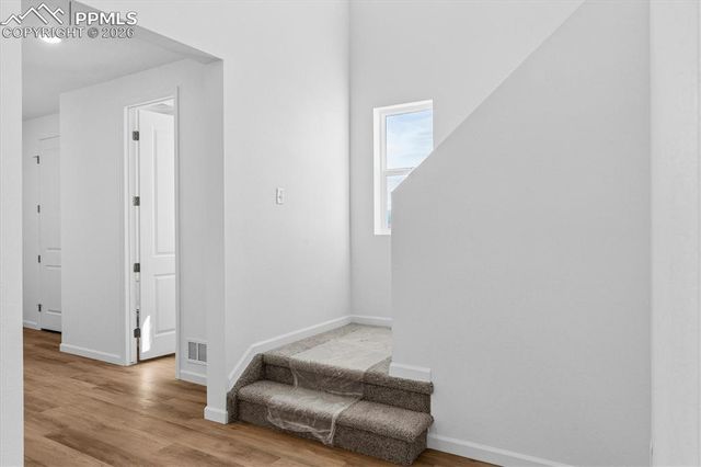 7878 Rainy Creek Trail, Colorado Springs, CO 80925