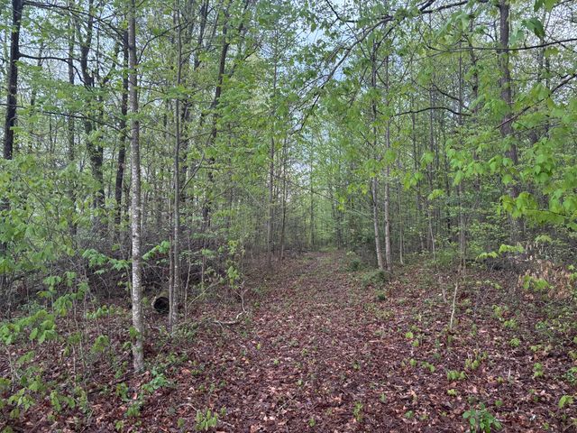 2165 Bluebank Road, Morehead, KY 40351