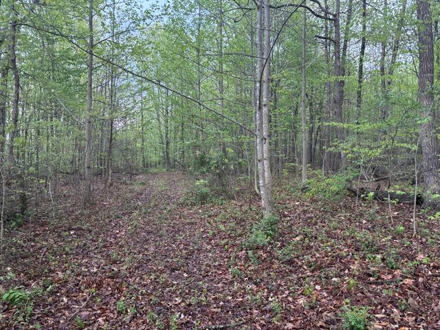 2165 Bluebank Road, Morehead, KY 40351