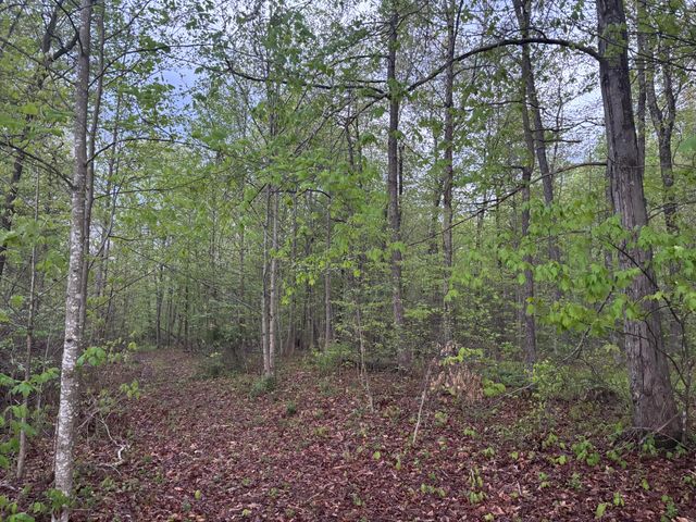 2165 Bluebank Road, Morehead, KY 40351