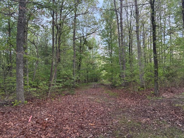 2165 Bluebank Road, Morehead, KY 40351