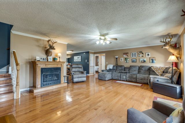 353 Major Rd, Cornersville, TN 37047