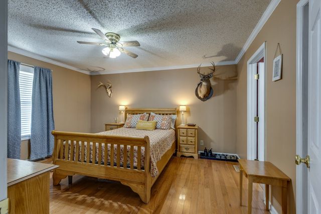 353 Major Rd, Cornersville, TN 37047