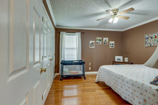 353 Major Rd, Cornersville, TN 37047