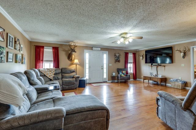 353 Major Rd, Cornersville, TN 37047