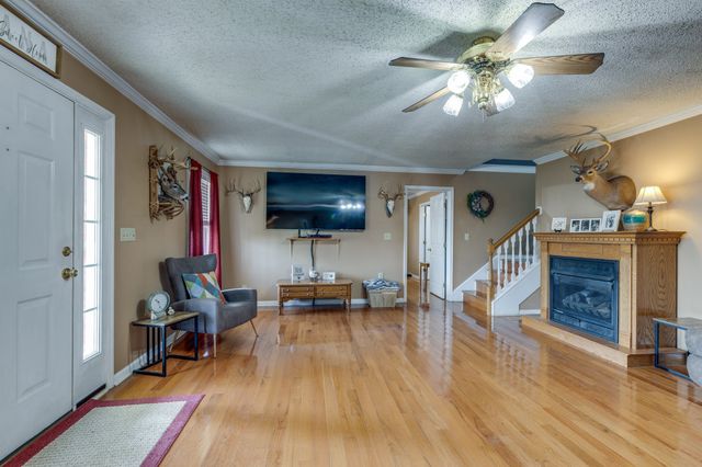 353 Major Rd, Cornersville, TN 37047