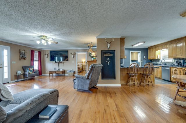 353 Major Rd, Cornersville, TN 37047