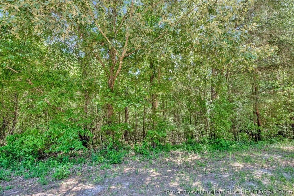 00 Riverstead (Lot 1) Road E, Fayetteville, NC 28312 — photo 13