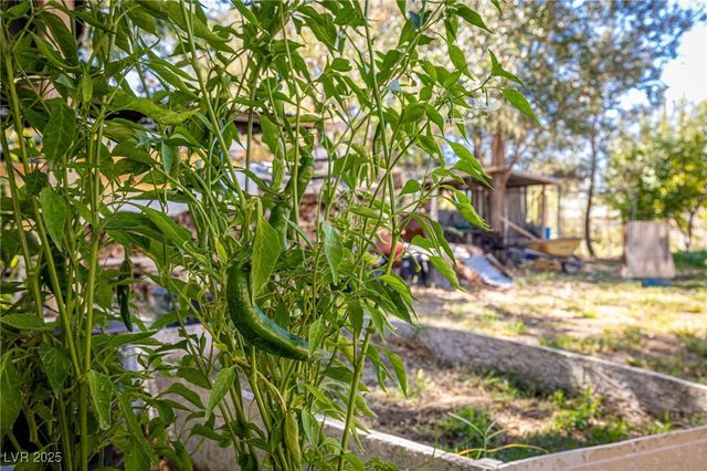 700 Cynthia Street, Pahrump, NV 89048