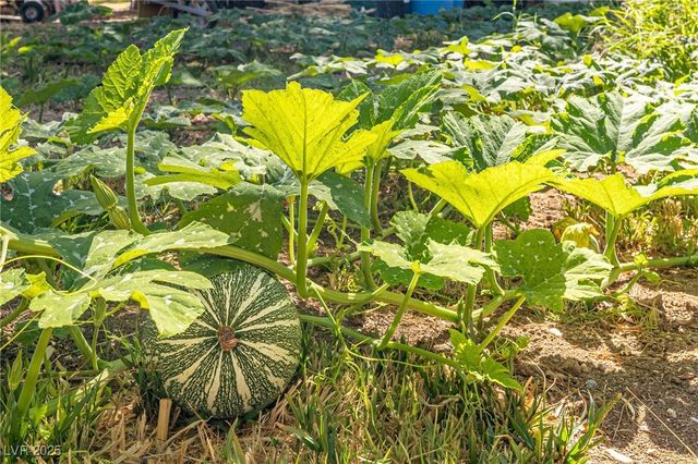 700 Cynthia Street, Pahrump, NV 89048