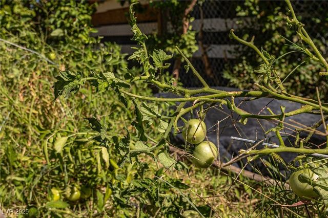 700 Cynthia Street, Pahrump, NV 89048