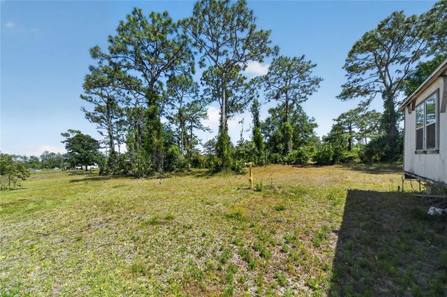 23000 TEX WHEELER AVENUE, Christmas, FL 32709