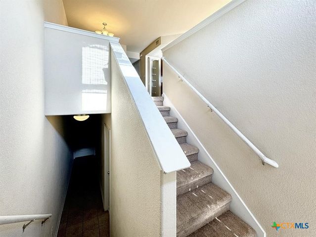 338 Trestle Tree AB, San Marcos, TX 78666