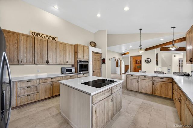 12291 S Critchell Lane, Littleton, CO 80127