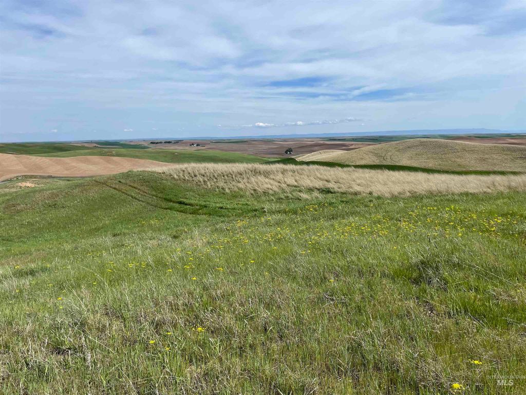 NKA Jacksha, Moscow, ID 83843