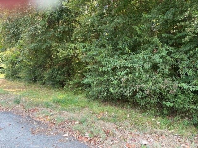 TBD Beaver Den Drive, Coldspring, TX 77331