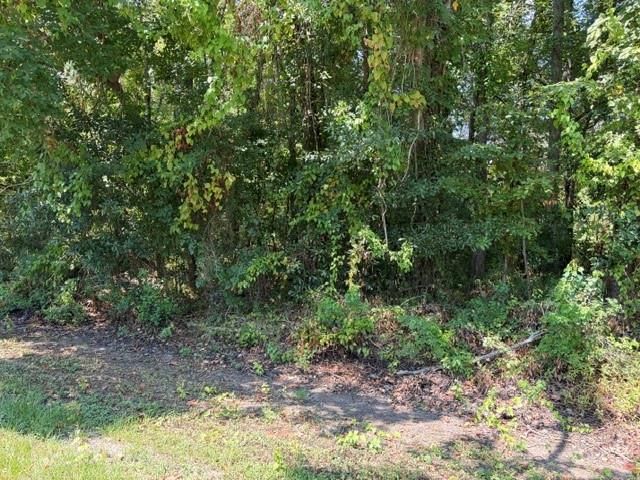 TBD Beaver Den Drive, Coldspring, TX 77331