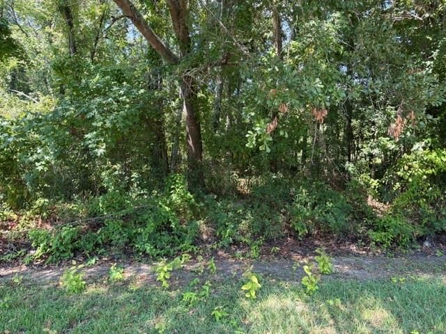 TBD Beaver Den Drive, Coldspring, TX 77331