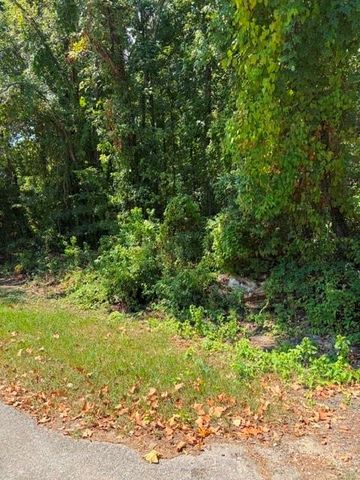 TBD Beaver Den Drive, Coldspring, TX 77331