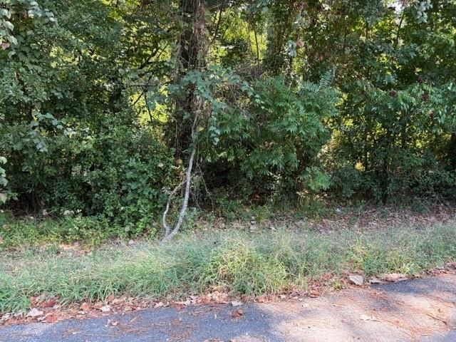 TBD Beaver Den Drive, Coldspring, TX 77331