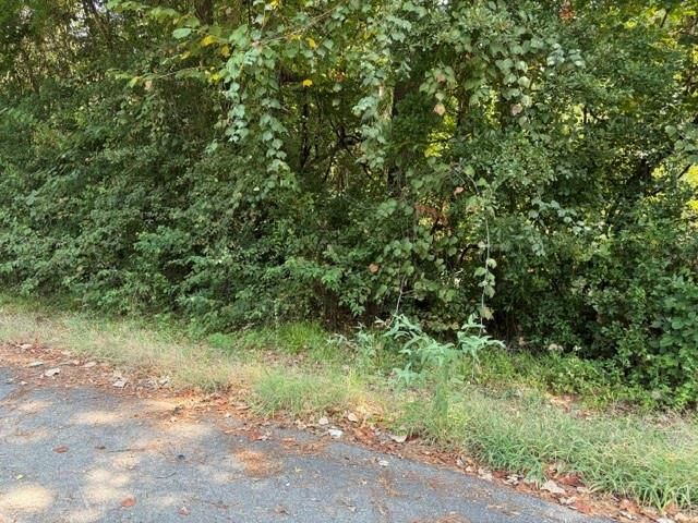 TBD Beaver Den Drive, Coldspring, TX 77331