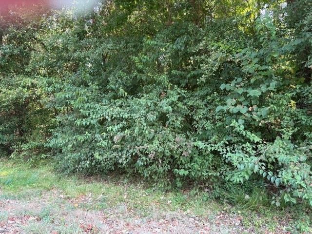 TBD Beaver Den Drive, Coldspring, TX 77331