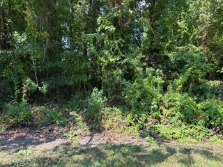 TBD Beaver Den Drive, Coldspring, TX 77331