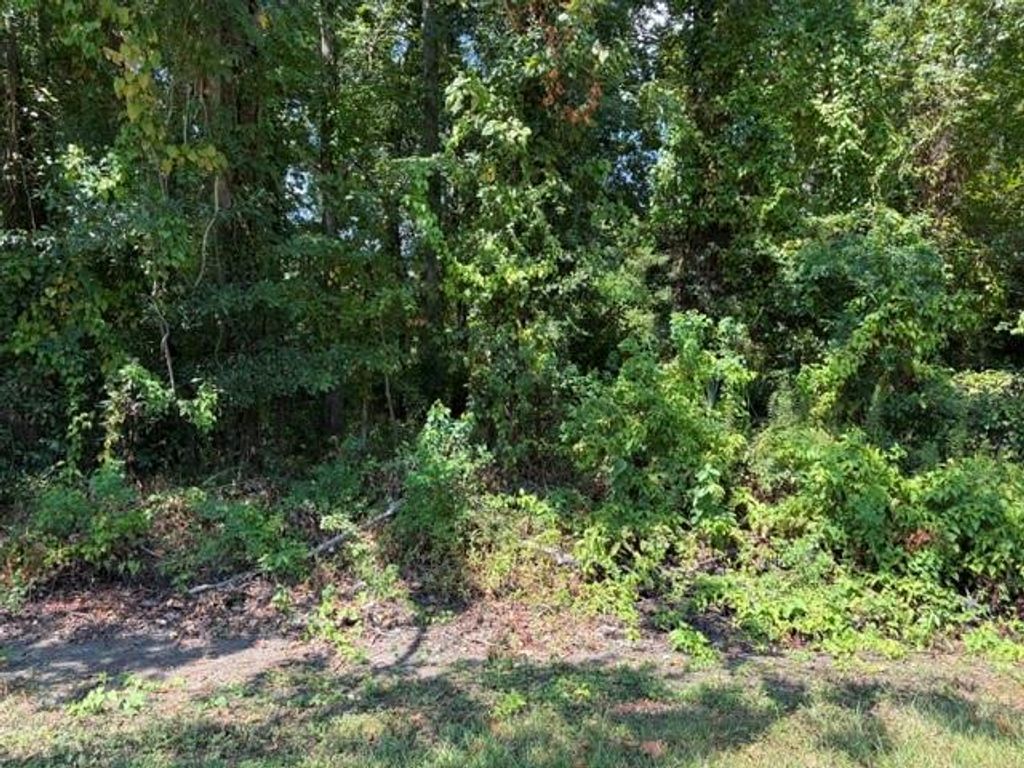 TBD Beaver Den Drive, Coldspring, TX 77331