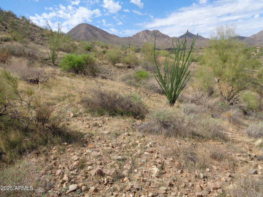 14539 E Prairie Dog Trail 11, Fountain Hills, AZ 85268 — photo 5
