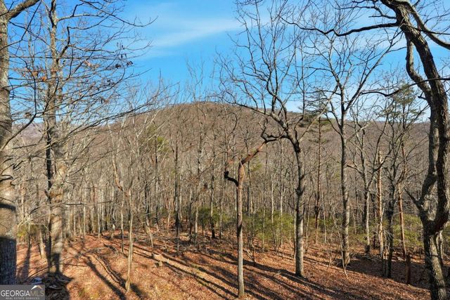 408 Alpine Drive, Jasper, GA 30143