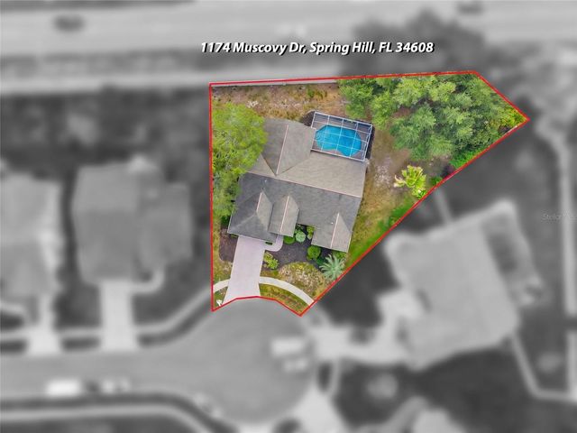 1174 MUSCOVY DRIVE, Spring Hill, FL 34608