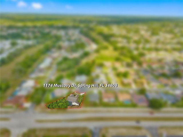 1174 MUSCOVY DRIVE, Spring Hill, FL 34608