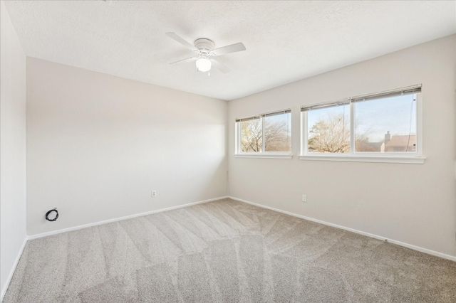 16006 Lost Rock Court, Houston, TX 77598