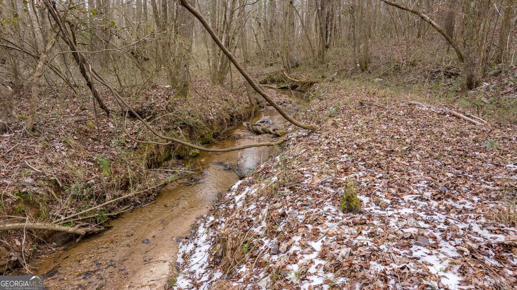 740 Broad River Church Road TRACT A, Eastanollee, GA 30538 — photo 2