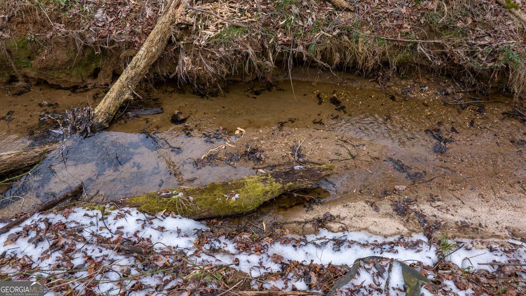 740 Broad River Church Road TRACT A, Eastanollee, GA 30538 — photo 3