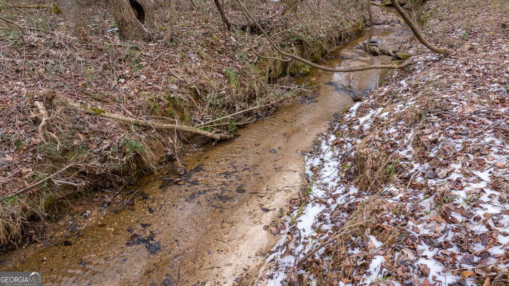 740 Broad River Church Road TRACT A, Eastanollee, GA 30538 — photo 4
