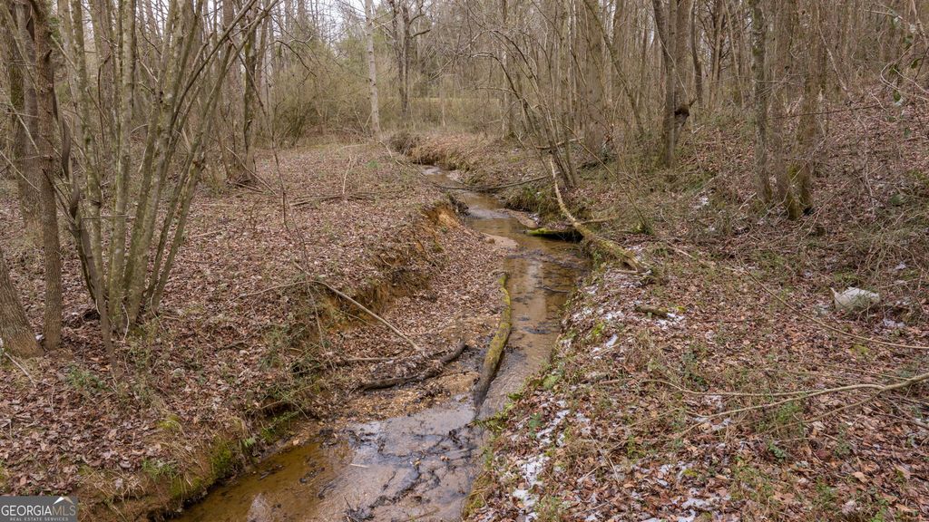 740 Broad River Church Road TRACT A, Eastanollee, GA 30538 — photo 5