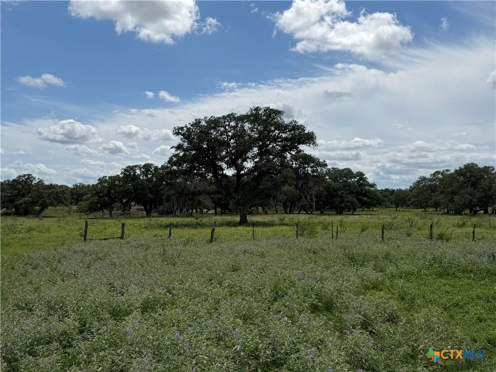 Image 11 of property listing at 209 Rice Road, Yoakum, TX 77995