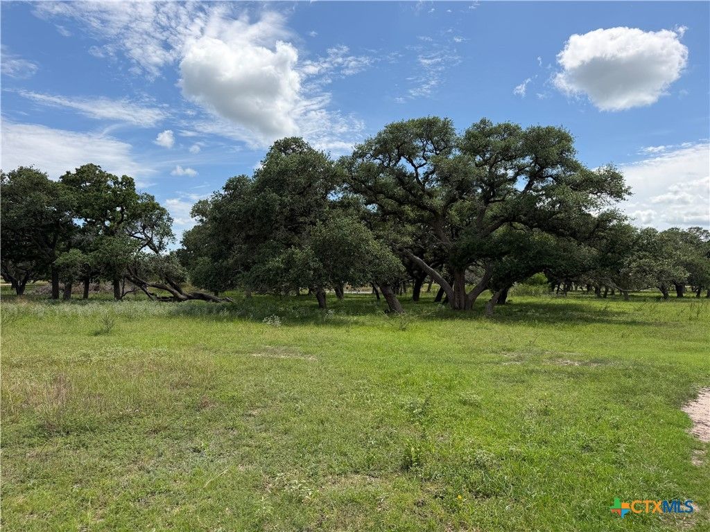 Image 2 of property listing at 209 Rice Road, Yoakum, TX 77995