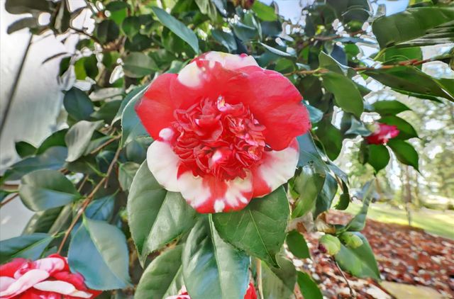 14017 Lague Ln, Grass Valley, CA 95949