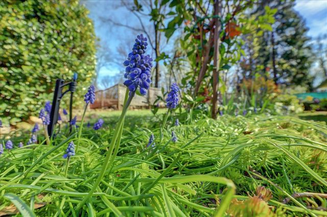 14017 Lague Ln, Grass Valley, CA 95949