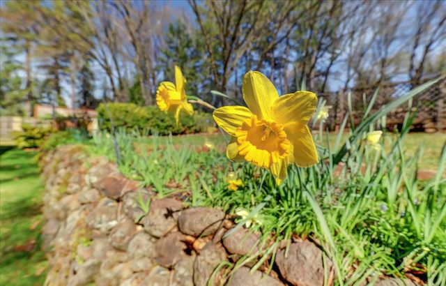 14017 Lague Ln, Grass Valley, CA 95949