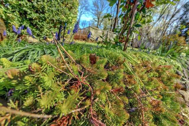 14017 Lague Ln, Grass Valley, CA 95949