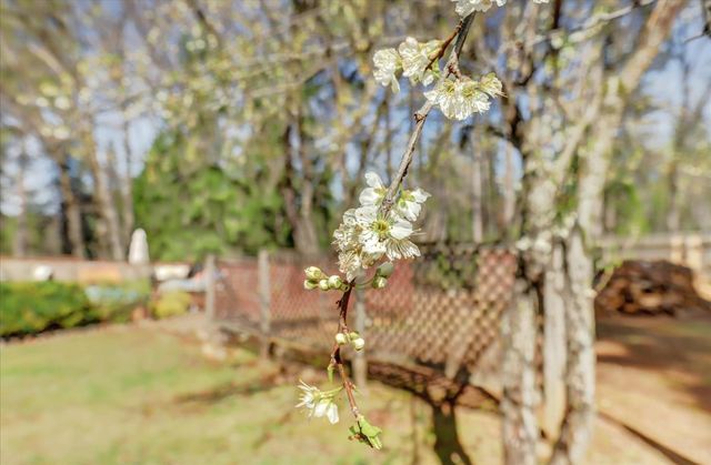 14017 Lague Ln, Grass Valley, CA 95949