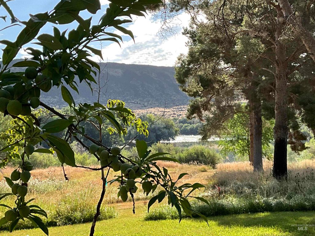 4778 River Road, Buhl, ID 83316 photo 23