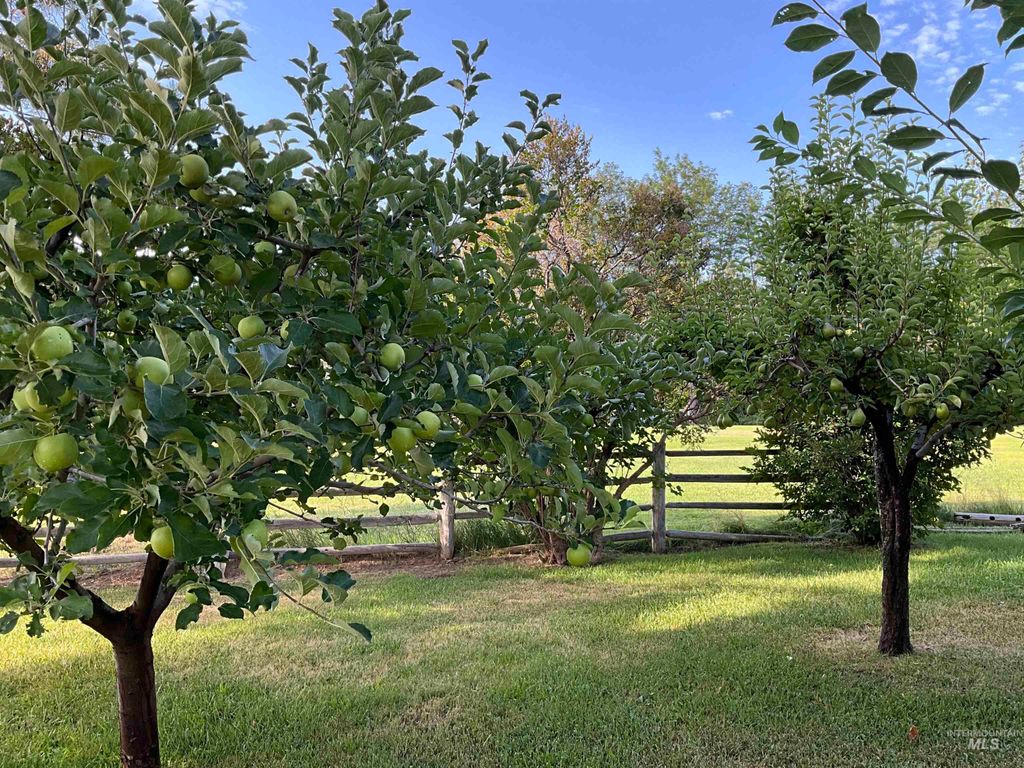 4778 River Road, Buhl, ID 83316 photo 27