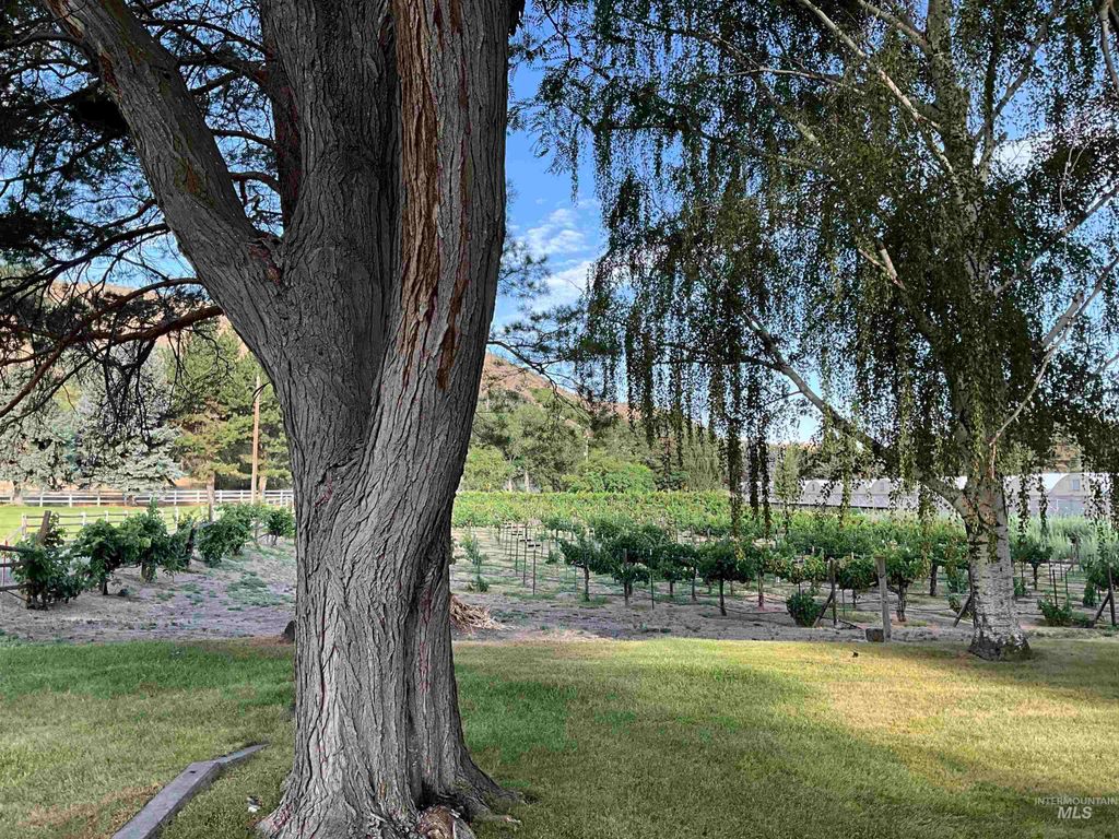 4778 River Road, Buhl, ID 83316 photo 33