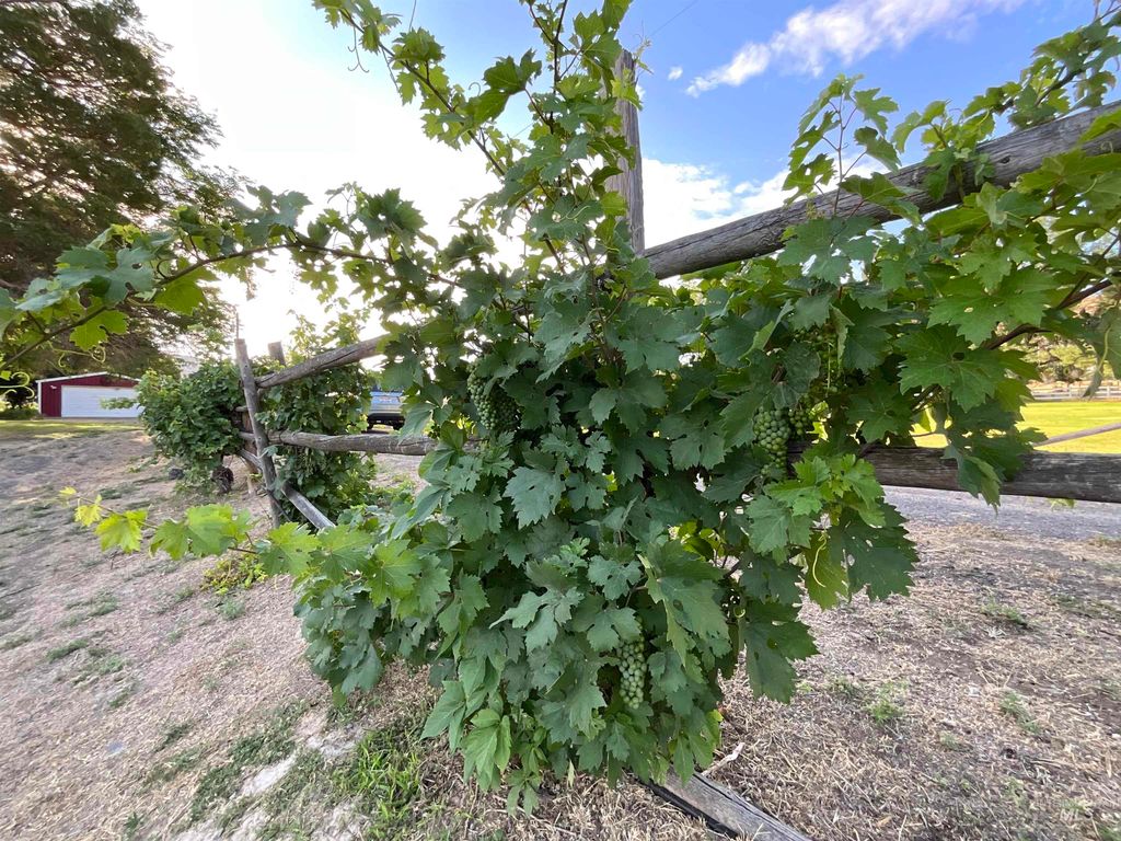 4778 River Road, Buhl, ID 83316 photo 34